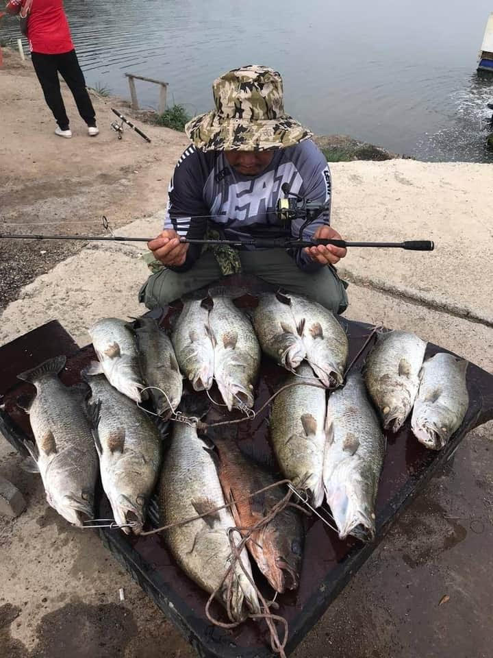 Siakap