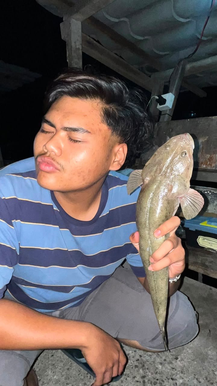 ikan